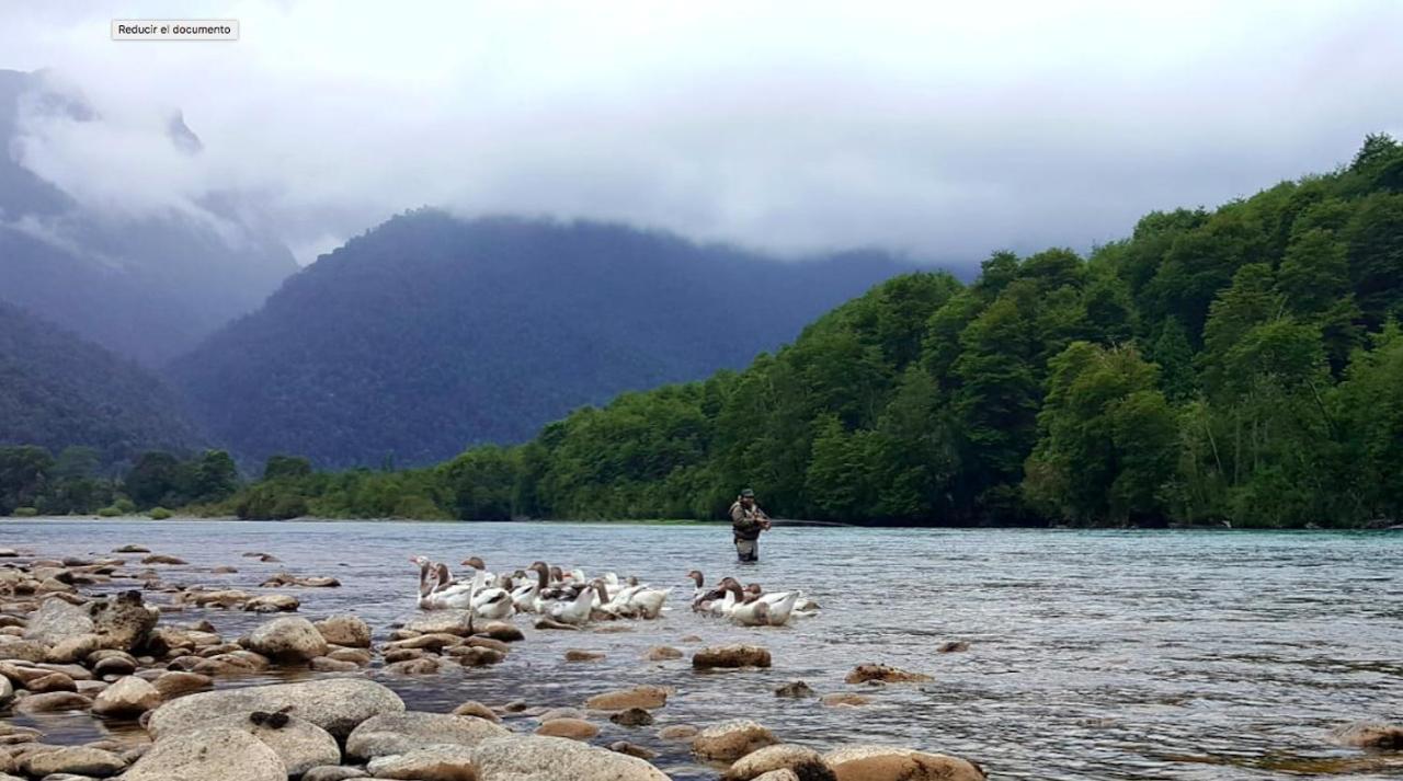 Cabanas Nutrias Patagonicas Puelo River Exteriér fotografie